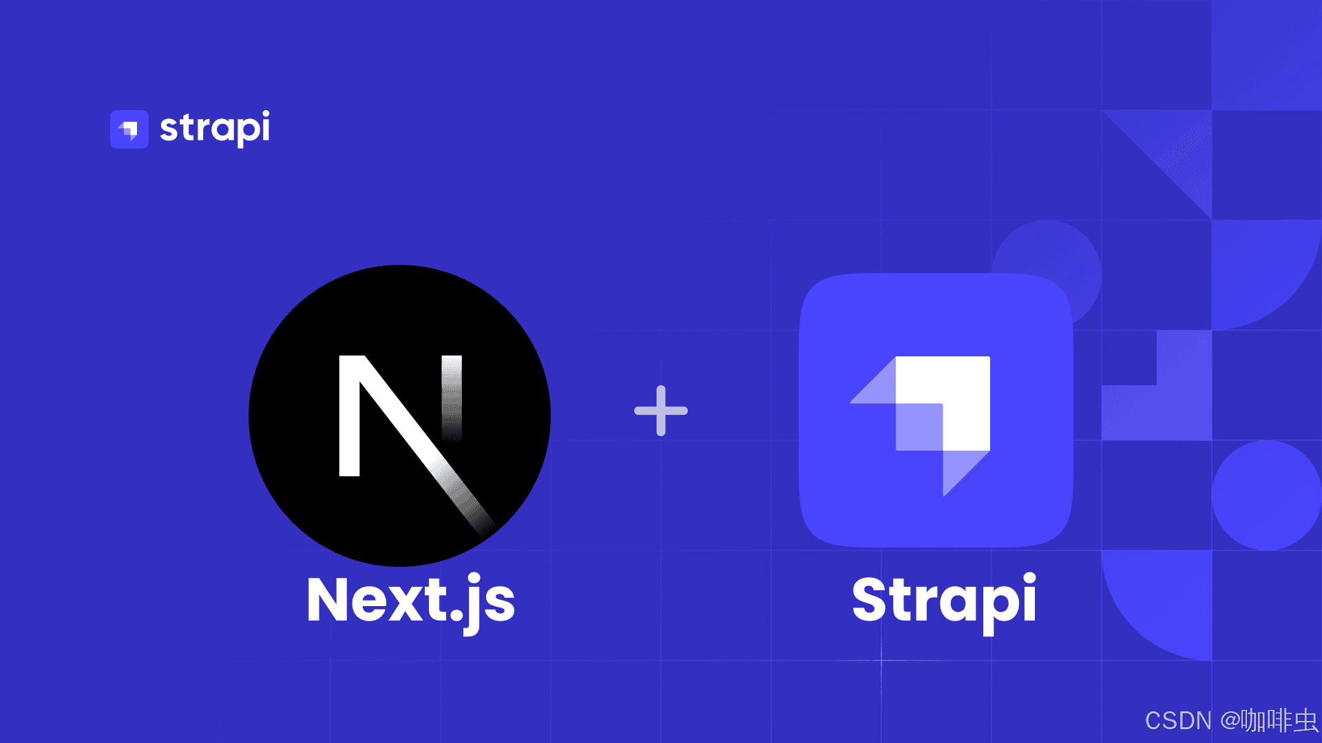 Strapi 5 入门:安装、内容建模与 API 权限