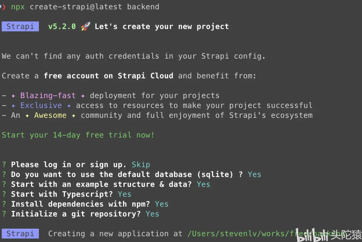 strapi安装及后台界面语言更改为中文操作步骤